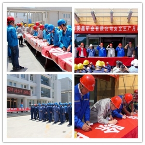 ��˾�_չ��ȫ���a���Ӄxʽ�߰�ȫ���}�������