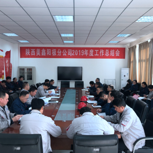 ꖘO�ֹ�˾���_2019��ȹ������Y��