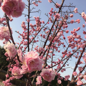 ����һ�괺����